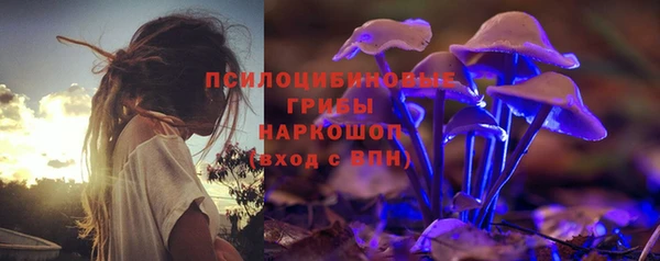 ГАЛЛЮЦИНОГЕННЫЕ ГРИБЫ Краснослободск