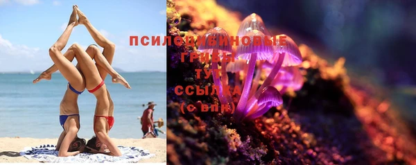 ПСИЛОЦИБИНОВЫЕ ГРИБЫ Кукмор