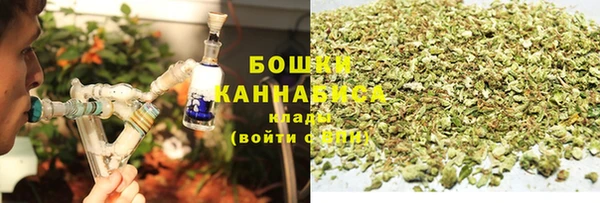 ГАЛЛЮЦИНОГЕННЫЕ ГРИБЫ Краснослободск