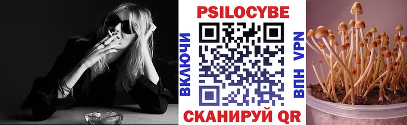 Галлюциногенные грибы Psilocybine cubensis  Купить где  Константиновск 